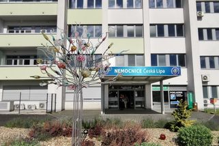sinmed.cz/recenze/nemocnice-s-poliklinikou-ceska-lipa-podtrzena-jednicka-827.html?utm_source=www.seznam.cz&utm_medium=seznam_distribuce&utm_campaign=lide